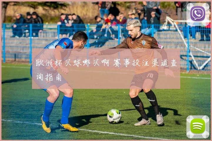 欧洲杯买球哪买啊 赛事投注渠道查询指南