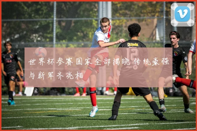 世界杯参赛国家全部揭晓 传统豪强与新军齐亮相