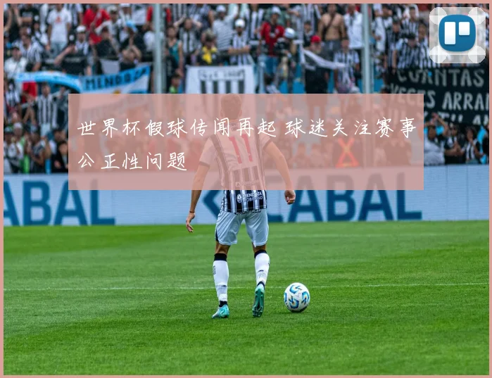 世界杯假球传闻再起 球迷关注赛事公正性问题