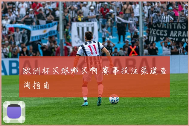 欧洲杯买球哪买啊 赛事投注渠道查询指南